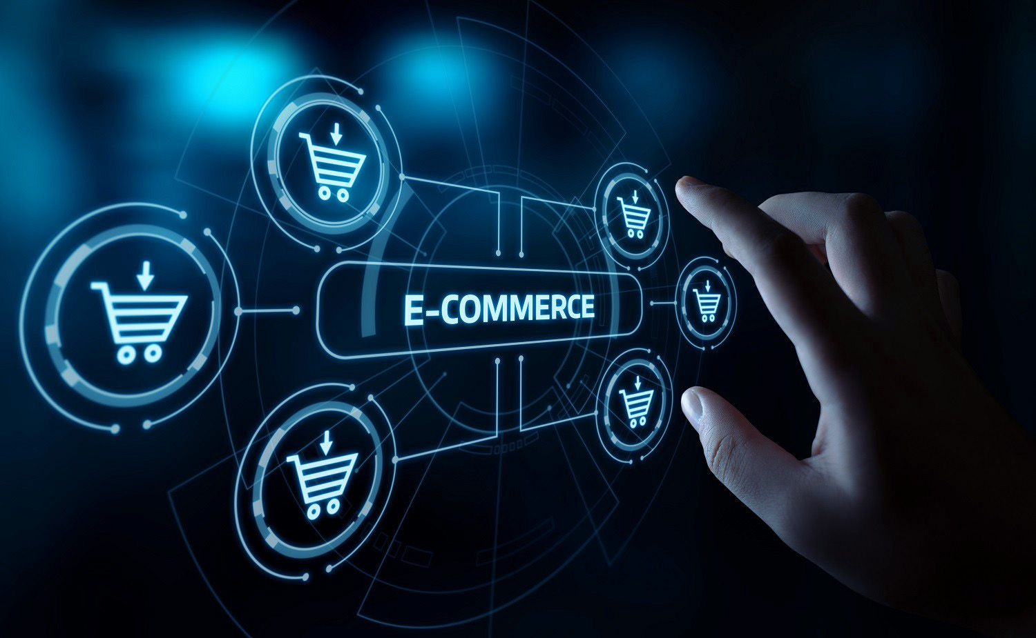 Additional Fastest Growing e-commerce Companies 