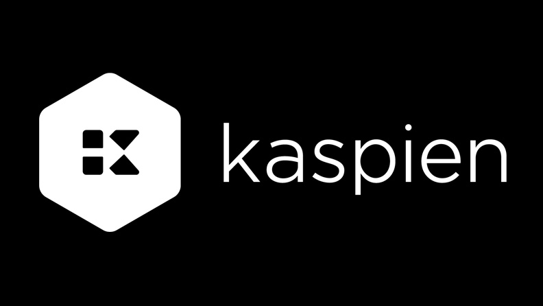 Kaspien Holdings Inc Logo